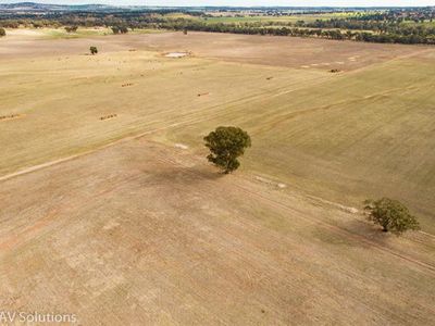 Parkes