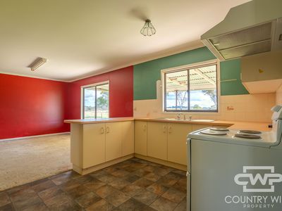 2 / 386 Emmaville Road, Emmaville