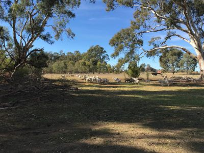 32 Aherns Road, Myall