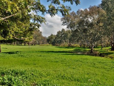 1649 Gerogery Road, Gerogery