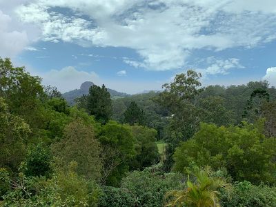 3935 Kyogle Road, Lillian Rock