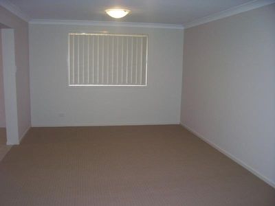 Morisset
