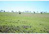 346 Avoca Road, Stuart Town