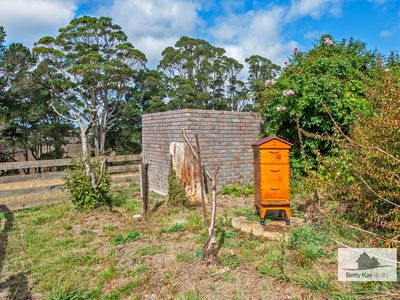 609 Mengha Road, Forest