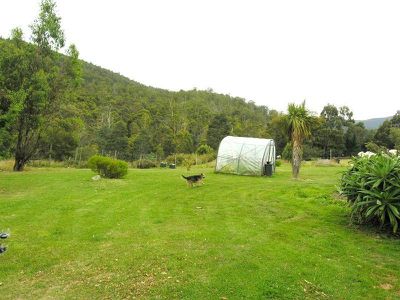 163 Judds Creek Road, Judbury