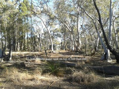 110 Scully Road, Coolah