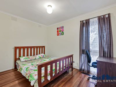 19 Winnima Avenue, Hampton Park