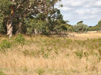 Lot 52, Wattle Road, Millicent
