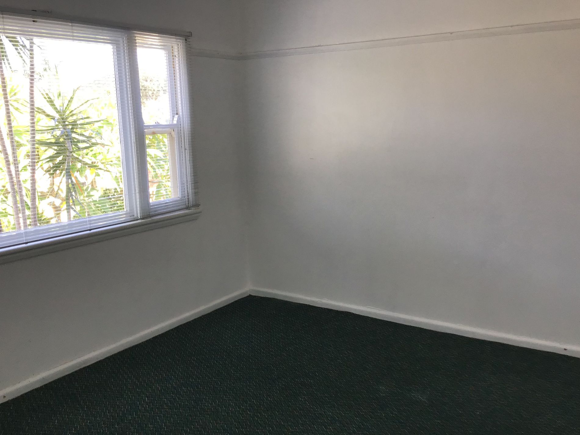 27 Mary Street, Shellharbour