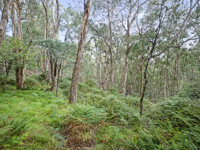 62 Shane Lane, Tolmie