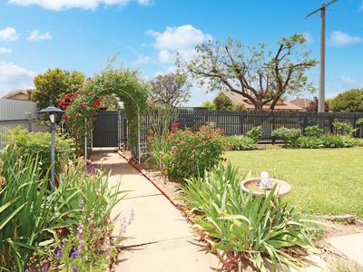 42 Meyer Street, Donald