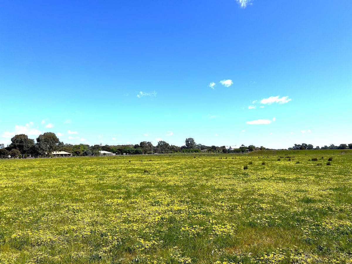 Lot 1, Dennis Road, Benalla