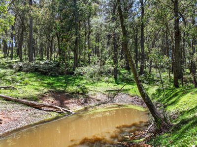 12 Bluebell Road, Braidwood