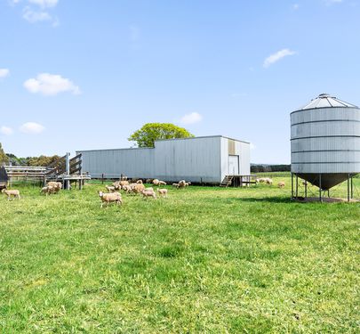 1444 Hoskinstown Road, Hoskinstown