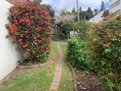 331 Rattray Street, Dunedin Central