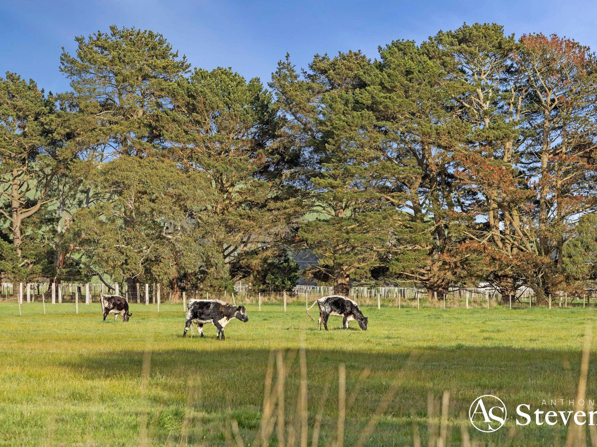 172 Grahams Road, Lancefield