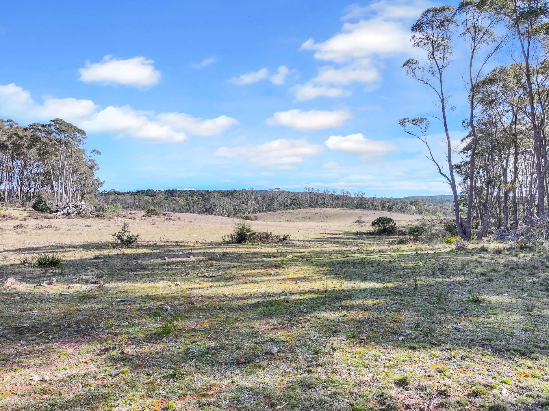 Lot 193 / 443 Back Creek Road, Mongarlowe