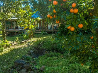 22 / 265 Martin Road, Larnook
