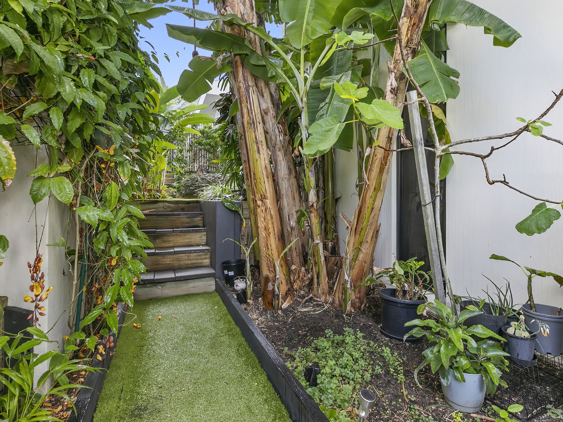 16 Pavilion Drive, Peregian Springs