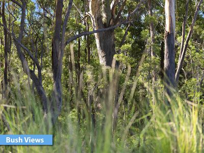 128 Seaspray Street, Narrawallee