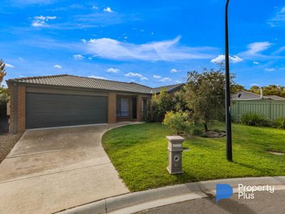 6 Moira Court, Ascot