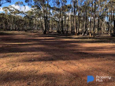 59 Palmer Road, Simson