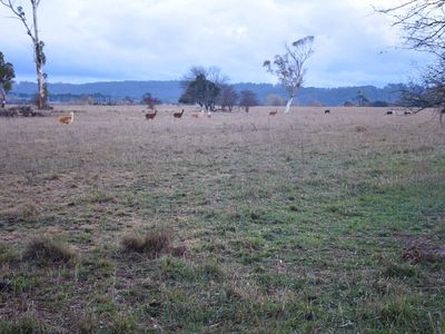 Lot 3, Fawcett Road, Glen Innes