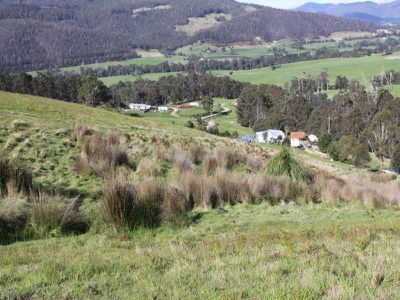 Glen Huon