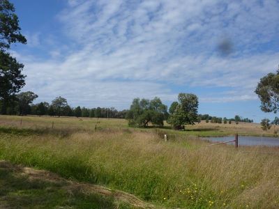 Lot 181 Lot 181 Westella Road Wongarbon, Wongarbon