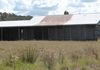 Lot 3 Summer Hill Lane, Orange