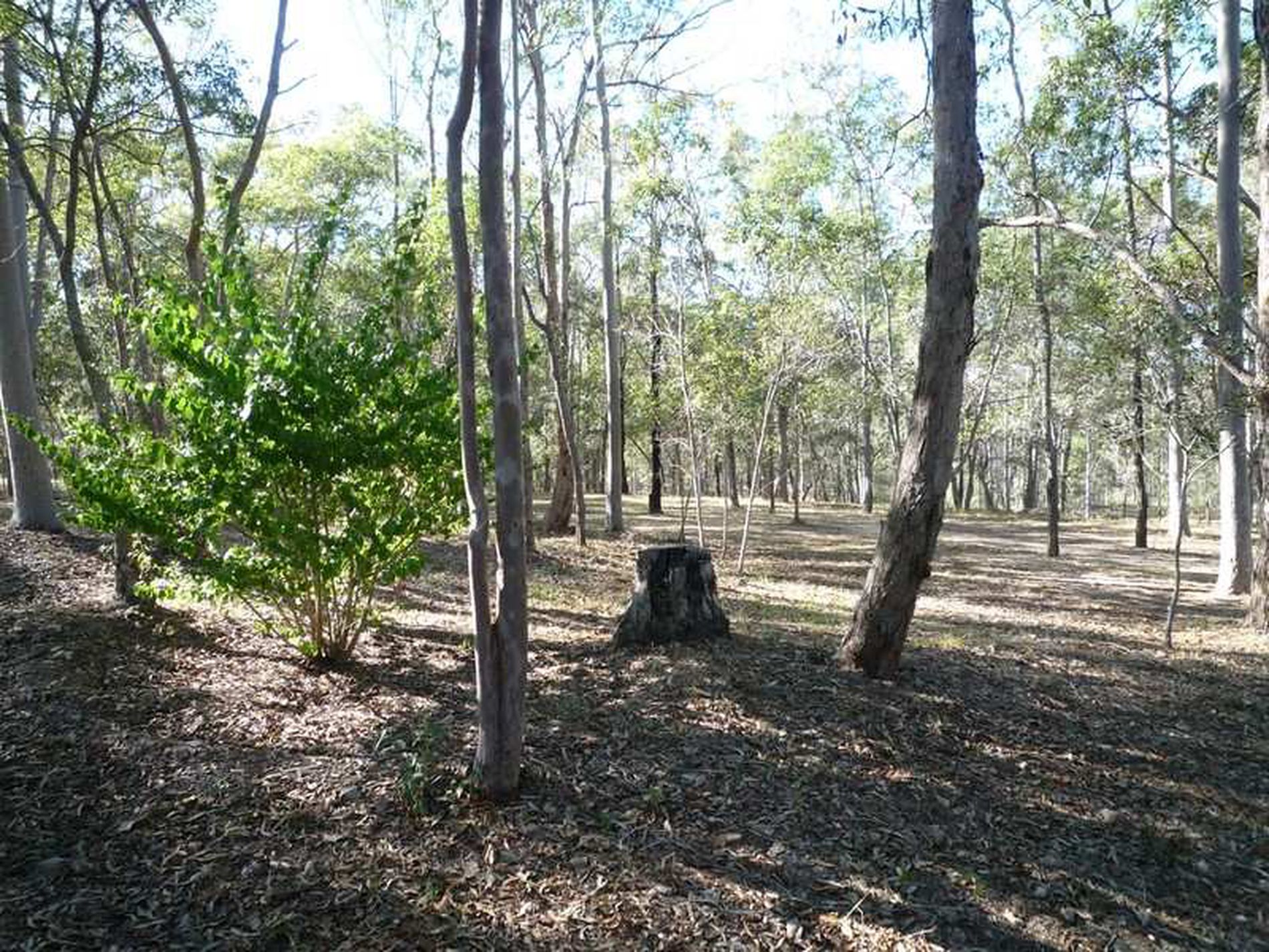 155 Gentle Annie Road, Apple Tree Creek