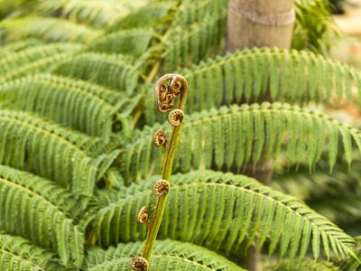 65 / 20 Royal Street, East Perth