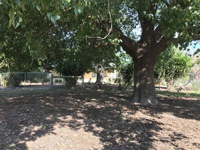 Riverside Homestead Colenso Park Road, Barham