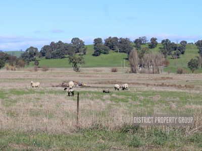 3486 Maroondah Highway, Mansfield