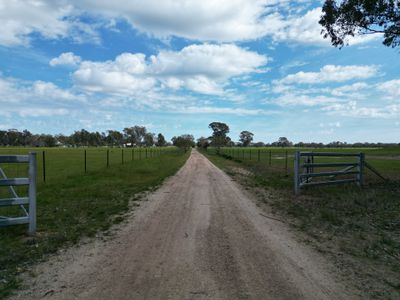 'Burnside' 1009 Howlong-Balldale Road, Balldale