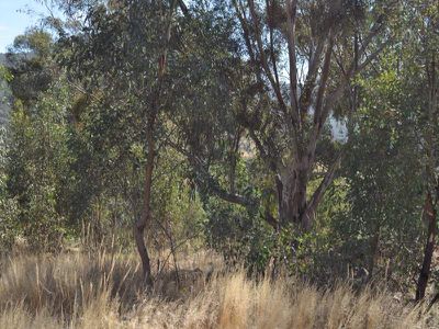 5 Love Lane, Splitters Creek