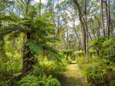 Kingfisher Road , Wyndham