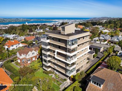 8 / 38 Drivers Road, Maori Hill