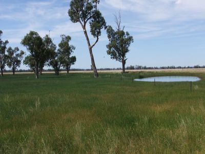 4096 Goolhi Road, Gunnedah