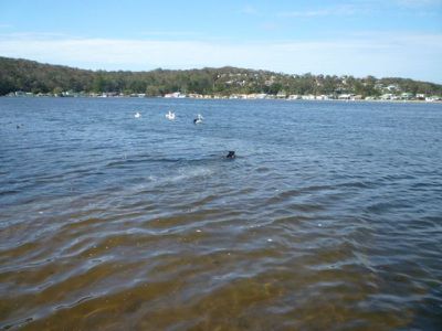 1 Maria Avenue, Burrill Lake