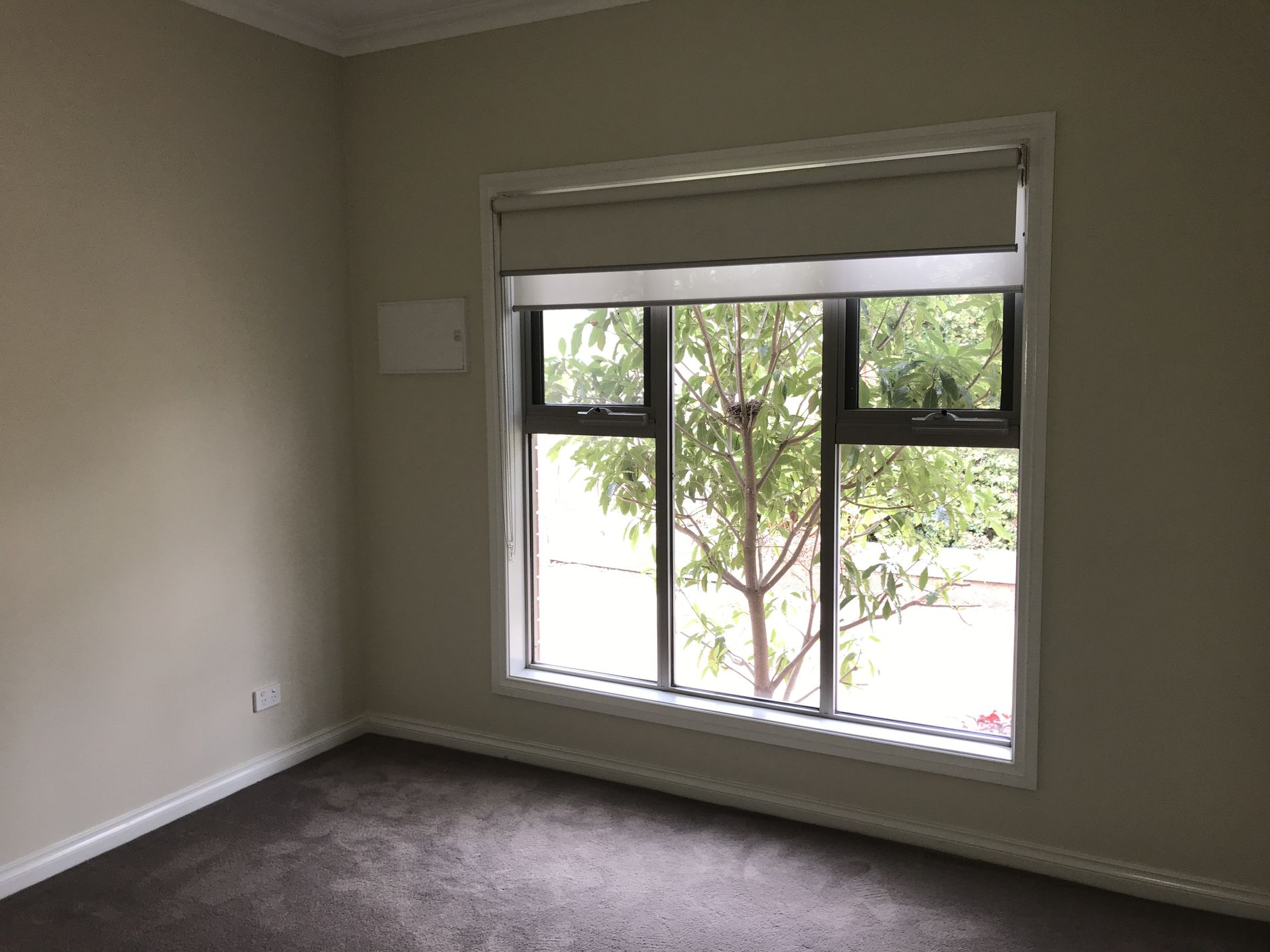 2 / 83 Francis Street, Belmont