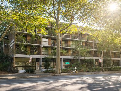 116 / 313 Harris Street, Pyrmont
