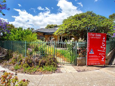 20 Bourlang Avenue, Camden Park