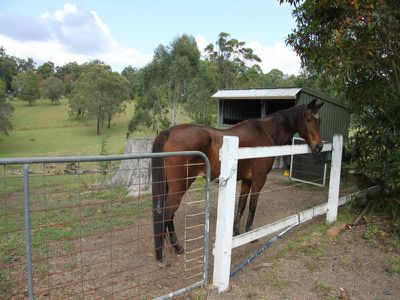 1628 The Lakes Way, Rainbow Flat