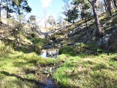 13983 Gwydir Highway, Shannon Vale