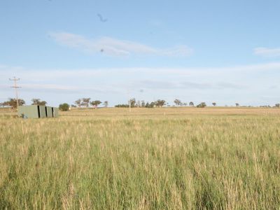 Lot Lot 7, Prices Lane, Merriwa