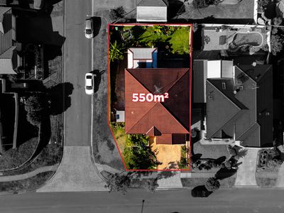 231 Braidwood Drive, Prestons