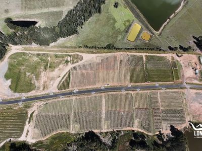 Lot 6 - POKOLBIN ESTATE, McDonalds Road, Pokolbin