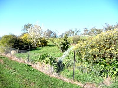 Odewahn Drive, Splitters Creek