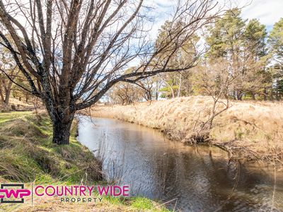 1417 Shannon Vale Road, Glen Innes